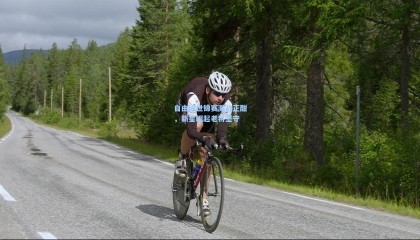 自由泳世锦赛激战正酣，新星崛起老将坚守