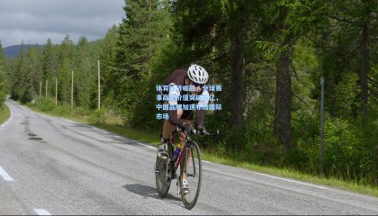 体育经济崛起，全球赛事商业价值突破万亿，中国品牌加速布局国际市场