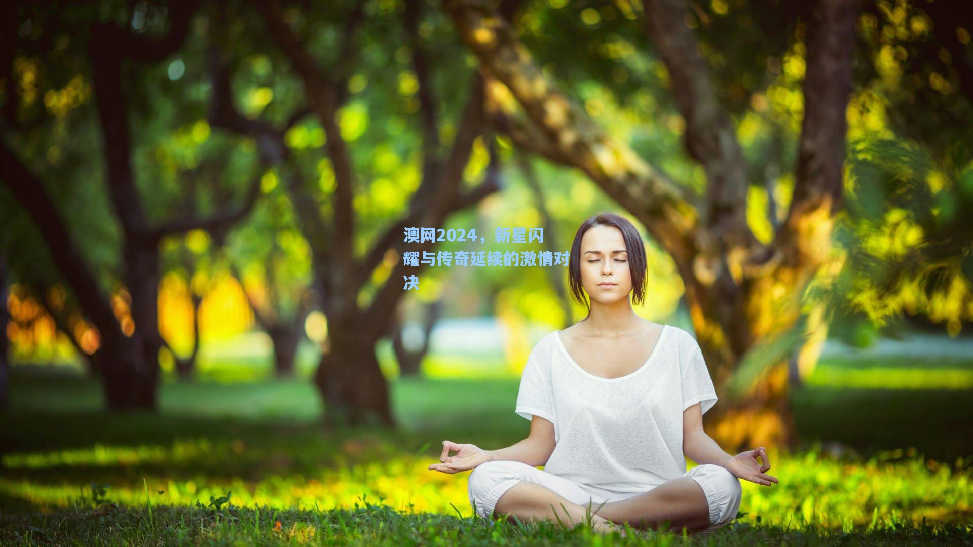 澳网2024，新星闪耀与传奇延续的激情对决